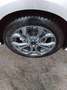 Ford Focus ST-Line 5p 1.5 EcoBlue 115cv Automatica 8M Argento - thumbnail 11