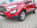 Ford EcoSport 1.5 Cool&Connect Rot - thumbnail 6