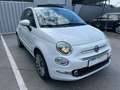 Fiat 500C Weiß - thumbnail 3