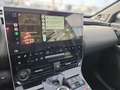Toyota bZ4X 4x4, 160kw STYLE Grau - thumbnail 6
