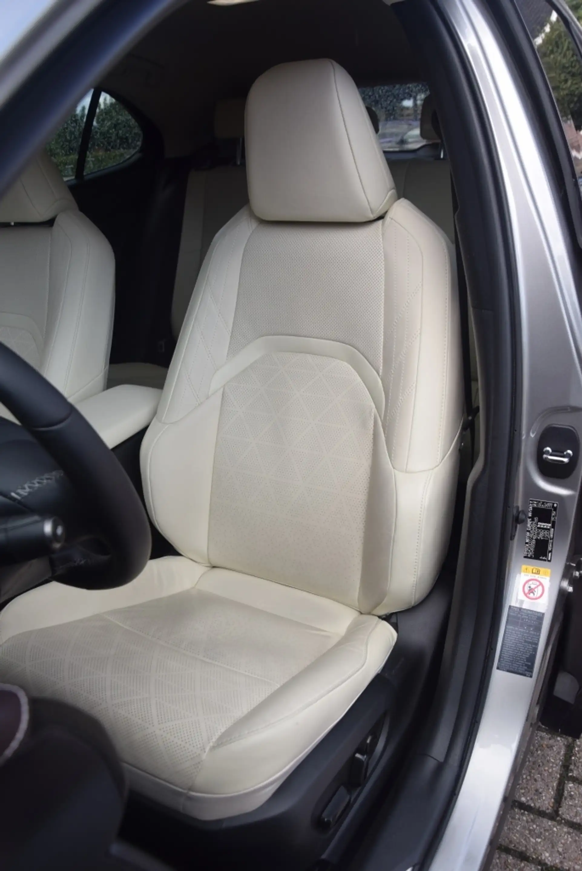 Lexus UX 250h Executive Line + President Pack/Mark Levinson/Deal — photo 13