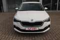 Skoda Scala 1.0 TSI Drive 125 LED Tempomat Sitzheizung Weiß - thumbnail 3