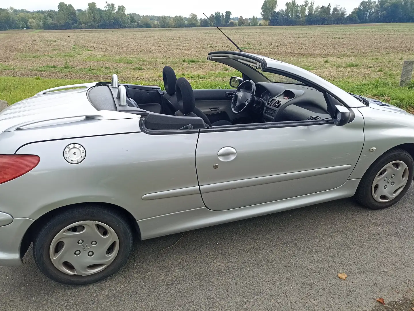 Peugeot 206 206 CC Silber - 1