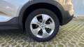Volvo XC40 Momentum Pro, T2 (manual) Gris - thumbnail 15