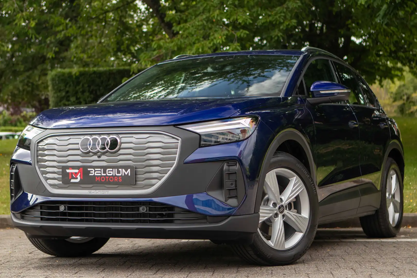 Audi Q4 e-tron Adaptative cruise - Cam - Nav Blauw - 1