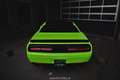 Dodge Challenger SRT WIDEBODY EXP € 62.980,- Verde - thumbnail 4