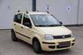 Fiat Panda 1.2 8V Classic Klima / Ganzjahresreifen Geel - thumbnail 3