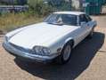 Jaguar XJSC Ein Traum in WEISS! Weiß - thumbnail 4