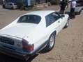 Jaguar XJSC Ein Traum in WEISS! Weiß - thumbnail 3