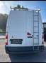 Renault Master L2H2 3,3t 2,3 dCi DPF Euro5 Weiß - thumbnail 3