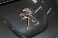 Peugeot 5008 1.6 HDi 115CV Business 7 POSTI Grigio - thumbnail 18