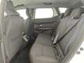 Dacia Duster 1.0 100CV GPL JOURNEY Bianco - thumbnail 10