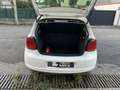 Volkswagen Polo 1.6TDI Sport 90 Blanco - thumbnail 11