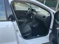 Volkswagen Polo 1.6TDI Sport 90 Blanco - thumbnail 13