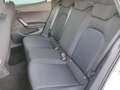 SEAT Ibiza IBIZA FR 1.0 TSI NAVI SITZHEIZ. KAMERA EINPARKH. Weiß - thumbnail 12