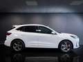 Ford Kuga 2.5 Full Hybrid 180 CV CVT 2WD ST-Line X Bianco - thumbnail 3