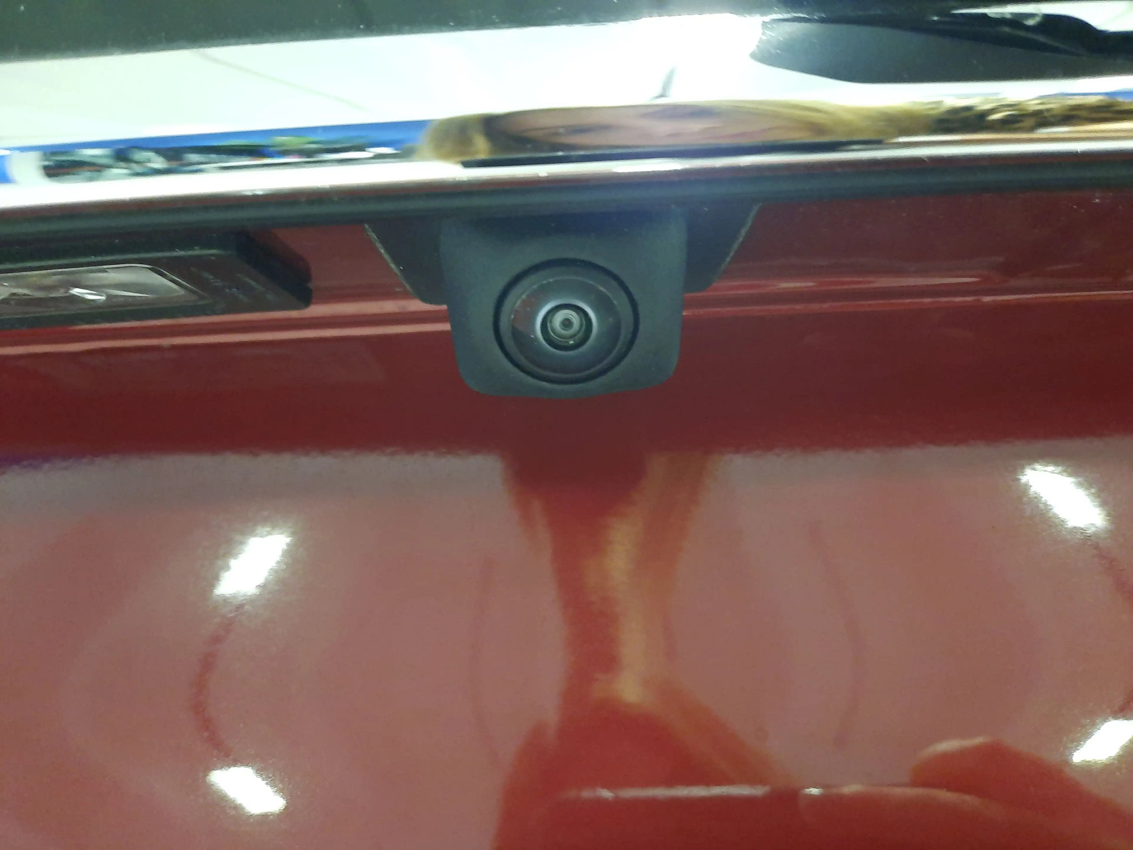 Ford Tourneo Connect 2.0l L1 Titanium Isofix 2,99% Fin — photo 10