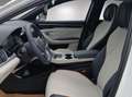 BYD Seal U Comfort Weiß - thumbnail 7