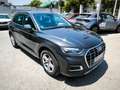 Audi Advanced 35 TDI 120kW S tronic Gris - thumbnail 11