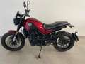 Benelli Leoncino 500 - thumbnail 5