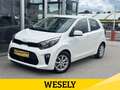 Kia Picanto 1,0 DPI ISG Titan Bianco - thumbnail 1