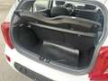 Kia Picanto 1,0 DPI ISG Titan Bianco - thumbnail 12
