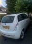 Lancia Ypsilon 1.4-16V Platino Wit - thumbnail 5