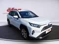 Toyota RAV 4 RAV4 2.5 Hybrid Active 2WD Aut. Weiß - thumbnail 7