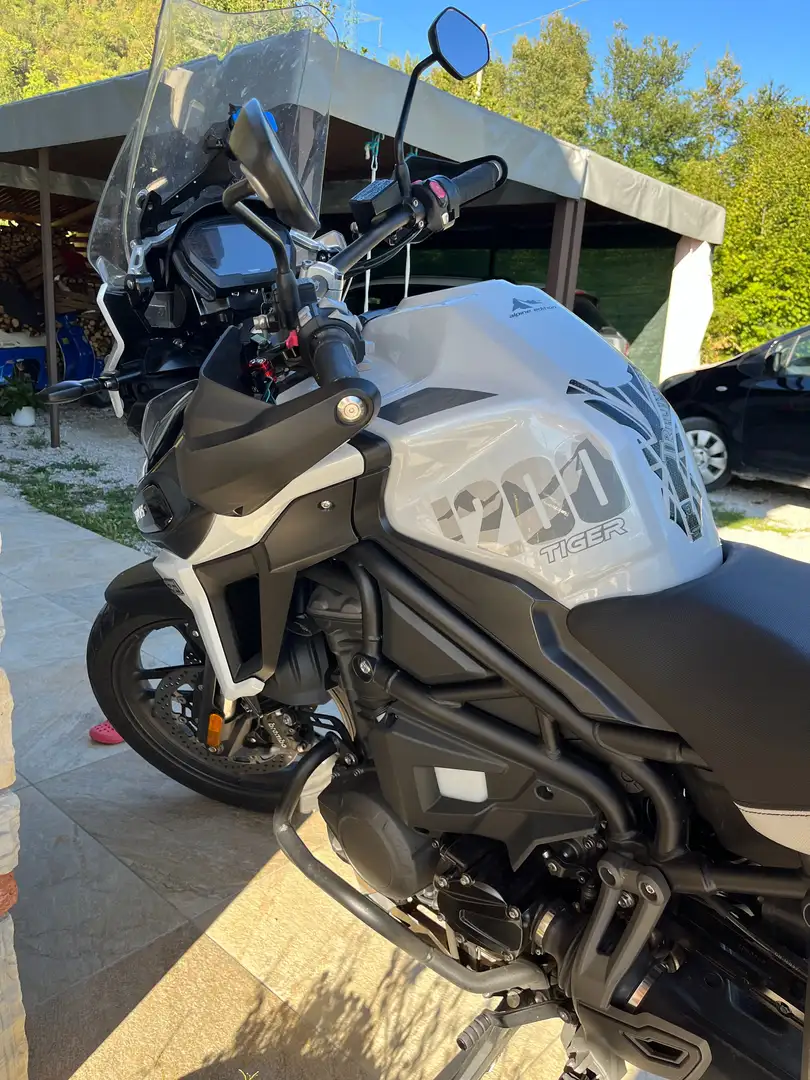 Triumph Tiger 1200 Special Edition Bianco - 1