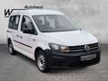 Volkswagen Caddy Kombi 1.4 TSI 6-Gang Anh.Kpl. Ganzj.Reifen Weiß - thumbnail 5