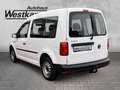 Volkswagen Caddy Kombi 1.4 TSI 6-Gang Anh.Kpl. Ganzj.Reifen Weiß - thumbnail 3