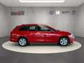 Volkswagen Golf Variant Life 1.5 TSI Klima Einparkhilfe Sitzheizung Rot - thumbnail 7