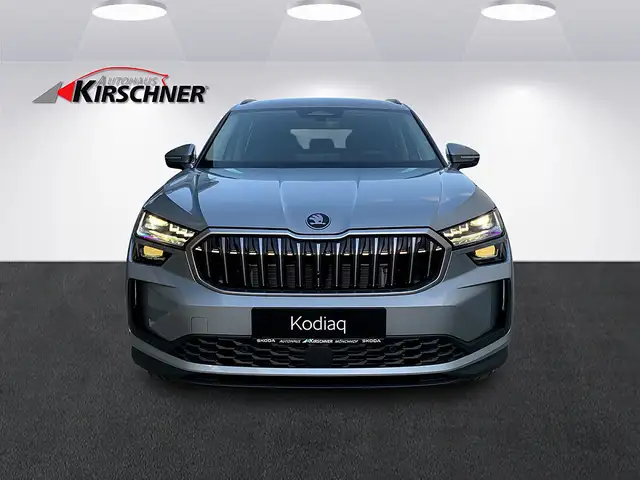 Skoda Kodiaq 2,0 TDI Selection DSG Ansicht 2