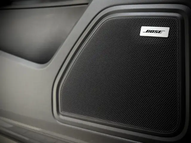 Porsche Macan view 12