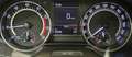 Skoda Fabia * MONTE CARLO * PANO * KLIMA * TEMPOMAT * SHZ * Grau - thumbnail 22