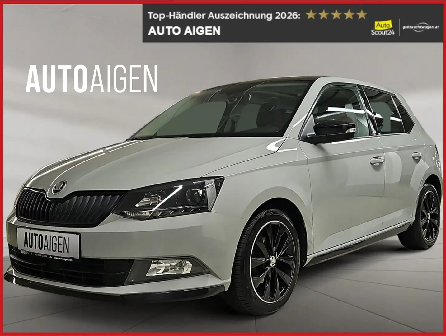 Skoda Fabia * MONTE CARLO * PANO * KLIMA * TEMPOMAT * SHZ * Grau - 1