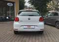 Volkswagen Polo 1.0 5p 60cv Bianco - thumbnail 5