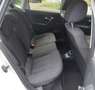 Volkswagen Polo 1.0 5p 60cv Bianco - thumbnail 8
