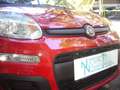 Fiat Panda 1.0 FireFly S&S Hybrid 5°posto Pack City Km0 Rouge - thumbnail 5