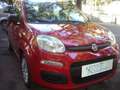 Fiat Panda 1.0 FireFly S&S Hybrid 5°posto Pack City Km0 Rouge - thumbnail 6