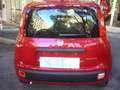 Fiat Panda 1.0 FireFly S&S Hybrid 5°posto Pack City Km0 Rouge - thumbnail 9