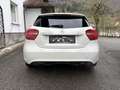 Mercedes-Benz A 200 A200 CDI 4MATIC *TOP*2Bsz*Aut*Xenon*Sportsitze* Weiß - thumbnail 6