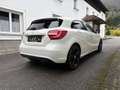 Mercedes-Benz A 200 A200 CDI 4MATIC *TOP*2Bsz*Aut*Xenon*Sportsitze* Weiß - thumbnail 5