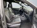 Ford Ranger Wildtrak X 2.0 Ecoblue ACC PDC NAVI SHZ Grau - thumbnail 10