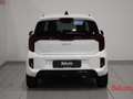 Kia Picanto Picanto 1.0 12V 5 porte 20th Anniversary Edition Bianco - thumbnail 4
