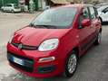 Fiat Panda Panda 1.2 Lounge 69cv E6 Rosso - thumbnail 3