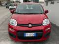 Fiat Panda Panda 1.2 Lounge 69cv E6 Rosso - thumbnail 1