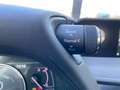 Lexus UX 250h Executive Navigation 2WD Bílá - thumbnail 16