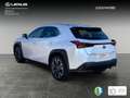 Lexus UX 250h Executive Navigation 2WD Blanc - thumbnail 2
