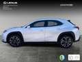 Lexus UX 250h Executive Navigation 2WD Bílá - thumbnail 3